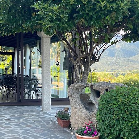 Villa Anastasia Cugnana Bagian luar foto