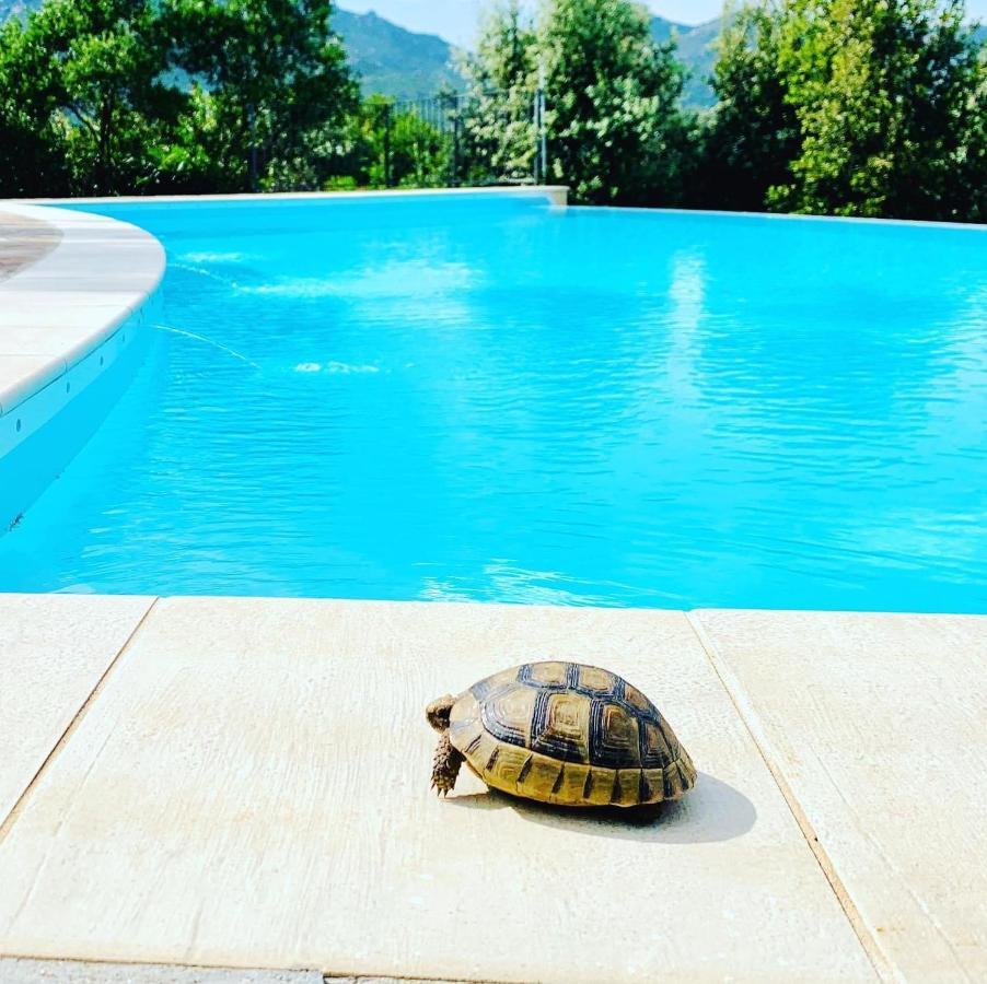 Villa Anastasia Cugnana Bagian luar foto