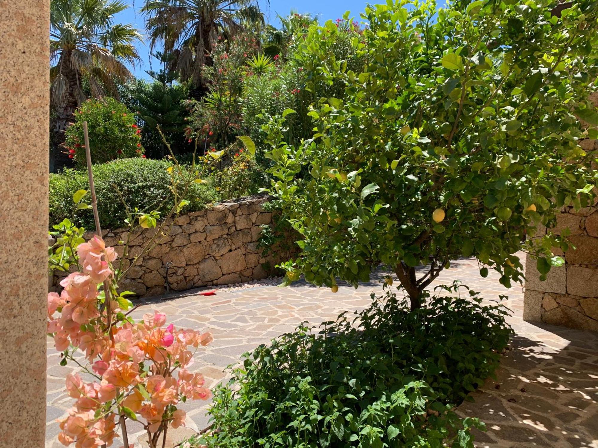 Villa Anastasia Cugnana Bagian luar foto